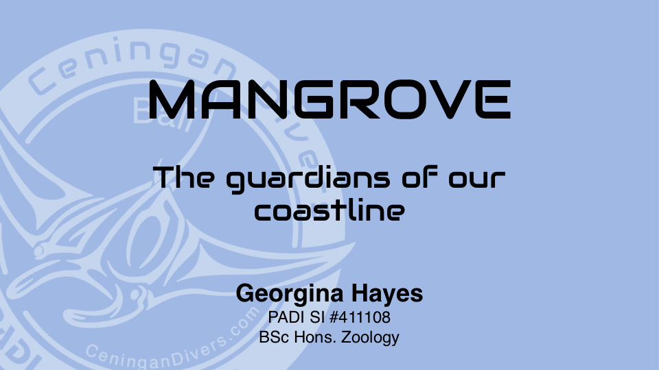 Mangrove Workshop